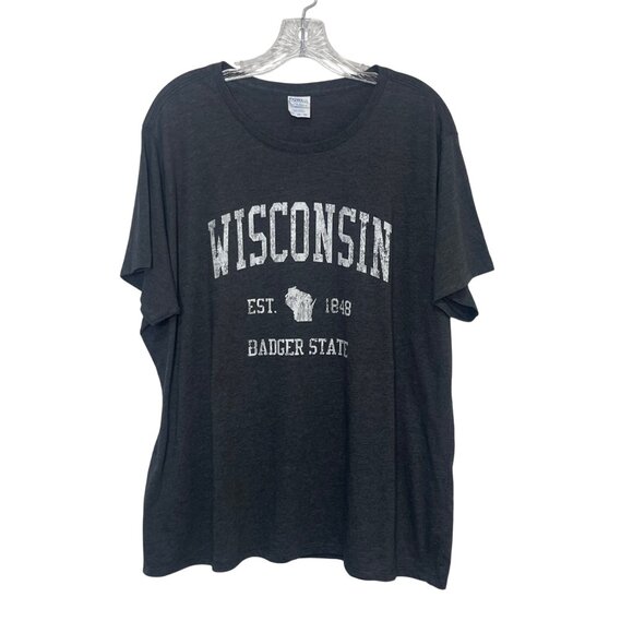 Wisconsin Badger State Tshirt Womens XXL Gray Souvenir Port & Company - Picture 1 of 9